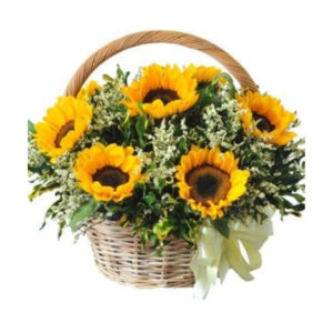 CANASTA 10 GIRASOLES