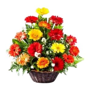 RAMO DE FLORES EN CANASTA CON 16 GERBERAS DE COLORES