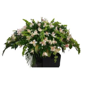 CUBRE CAJON FUNEBRE EN ORQUIDEA SYMBIDIUM