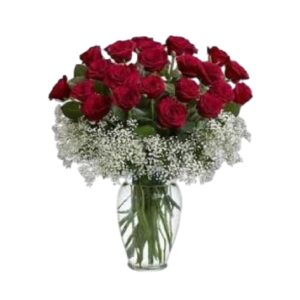 JARRÓN CON 24 ROSAS ROJAS Y YIPSO I