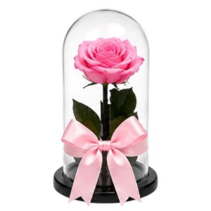 ROSA PRESERVADA ROSADA