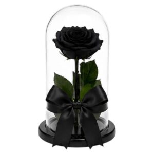 ROSA PRESERVADA NEGRA