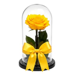 ROSA PRESERVADA AMARILLA
