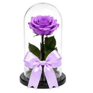 ROSA PRESERVADA LILA