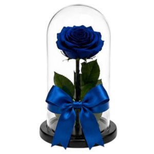 ROSA PRESERVADA AZUL